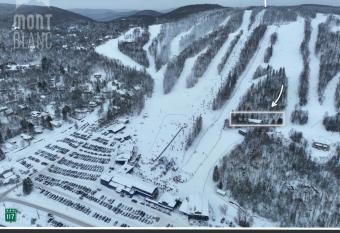 Mont Blanc H  tel & Condos allows 18 year olds to book a room