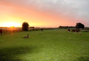 Glamping with Llamas allows 18 year olds to book a room