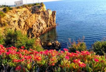 Calatabarca B&B has Balcony rooms