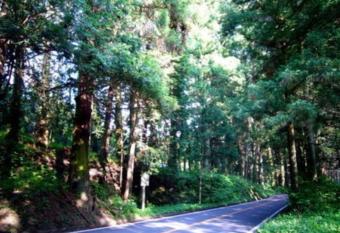 Hotel Famitic Myojin allows 18 year olds to book a room