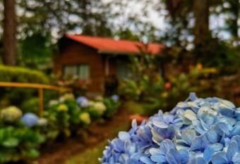 Vista Turrialba Lodge has Balcony rooms