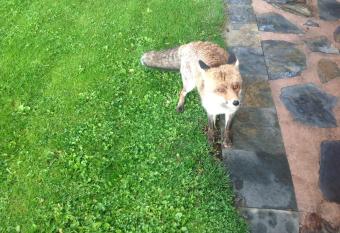 Casa Rural La Calera has rooms with a private hot tub