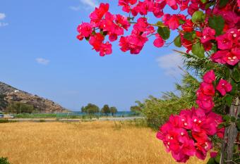 Seagull Rooms has Balcony rooms