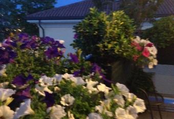 B&B Pitstop has Balcony rooms