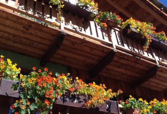 Hotel Meubl   Gorret has Balcony rooms