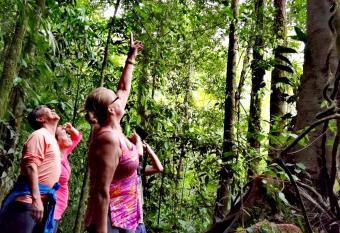 Cecropia Ecolodge has Balcony rooms