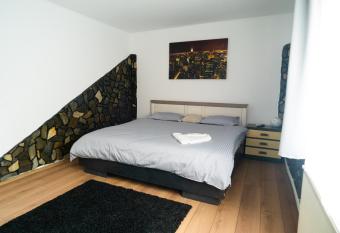 Apartament Dacul allows 18 year olds to book a room