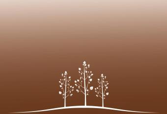 Hotel Restaurante Los Ca  os de la Alcaiceria allows 18 year olds to book a room