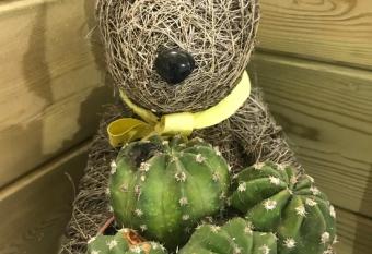 Hot Tub Hide Away near Alton Towers staffordshire has rooms with a private hot tub