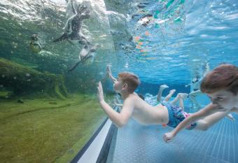 Spreewelten Hotel allows 18 year olds to book a room