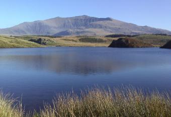 Samuel cottage has Balcony rooms