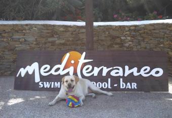 Hotel Mediterraneo allows 18 year olds to book a room