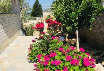 Vila Milo allows 18 year olds to book a room