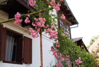 Pensiunea Nick has Balcony rooms