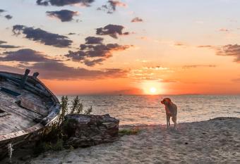 Nostos Apartments has Balcony rooms