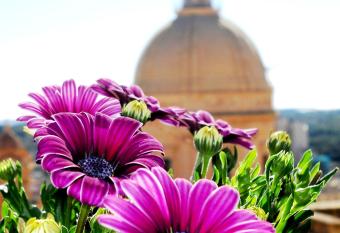 Ostello della Giovent   - Il Castello has Balcony rooms