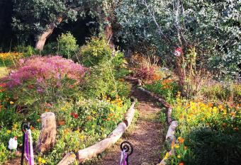 Coral Gables Guesthouse & Campervan Parking allows 18 year olds to book a room