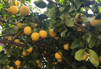 Casa Mia allows 18 year olds to book a room