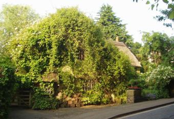 Wizards Thatch Luxury Suites allows 18 year olds to book a room