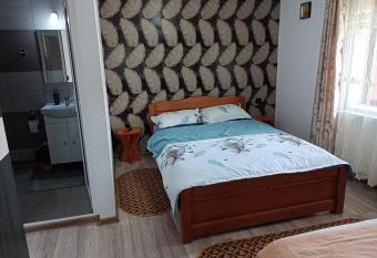 Pensiunea Ileana has rooms with a private hot tub