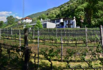 Bacco has Balcony rooms