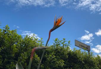 Visaya B&B has Balcony rooms