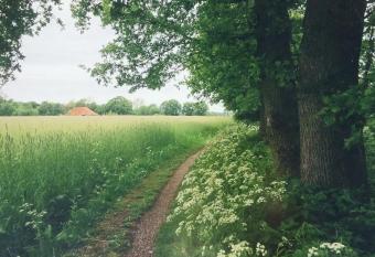 Huis Eedingh has Balcony rooms