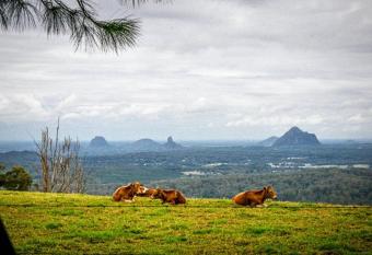 Tranquil Park has Balcony rooms