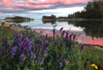 Pensar Hotelli & Ravintola Sandvik has Balcony rooms