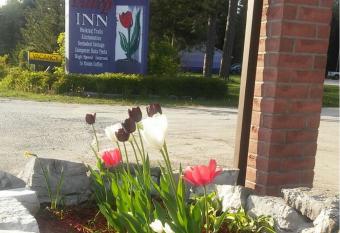 Tulip Inn allows 18 year olds to book a room