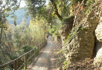 Albergo Minerva allows 18 year olds to book a room