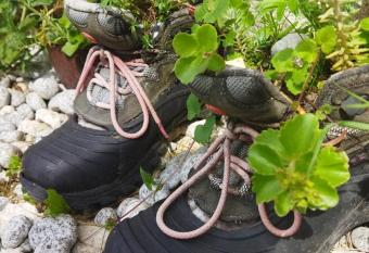 Lucky Kitten , High Tatras has Balcony rooms