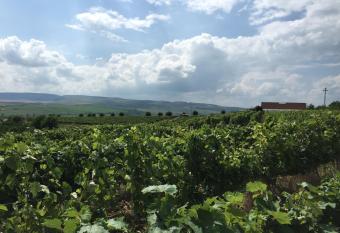 Wineyards Salin has Balcony rooms