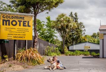 Goldmine Motel allows 18 year olds to book a room