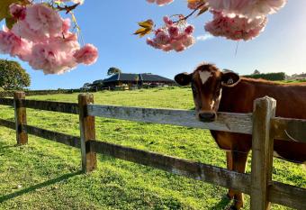 Heaven s Rest B&B has Balcony rooms