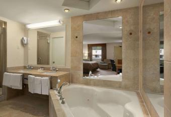 Ramada by Wyndham Rockville Centre has Smoking rooms