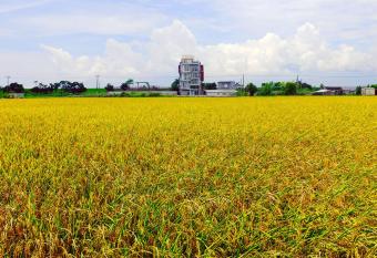 Wudai has Balcony rooms