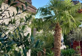 Gaestehaus Klaus has Balcony rooms