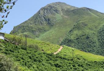 Hotel SHIBI has Balcony rooms