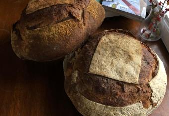 Gallery B&B allows 18 year olds to book a room