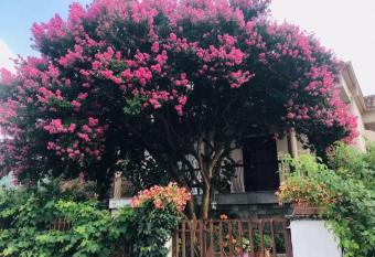 With a View of Meteora has Balcony rooms