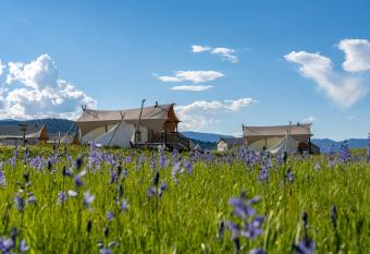 Under Canvas West Yellowstone has Balcony rooms