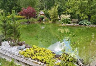 Lepa Lopa allows 18 year olds to book a room