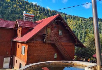 Pensiunea Cabana Viselor has Balcony rooms