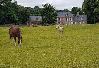 La Tilia allows 18 year olds to book a room