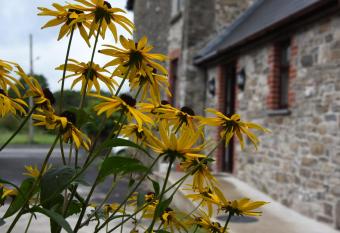 Melin Tregib allows 18 year olds to book a room