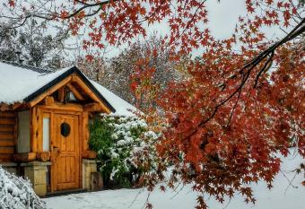 Blue Bird House allows 18 year olds to book a room