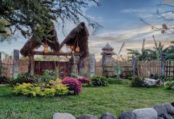 Eco Hotel Tahawi allows 18 year olds to book a room