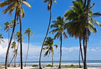 Mudi House allows 18 year olds to book a room