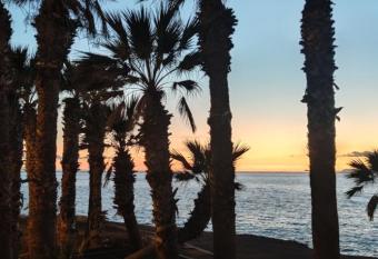 Janias Alcal   Apartment allows 18 year olds to book a room